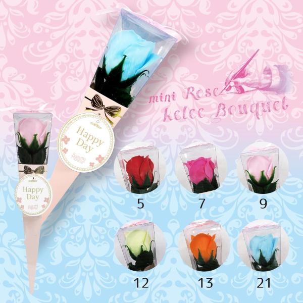 mini kelee ~jP[u[Py oXtOX  \[vt[ Mtg zCgf[ Əj wjz