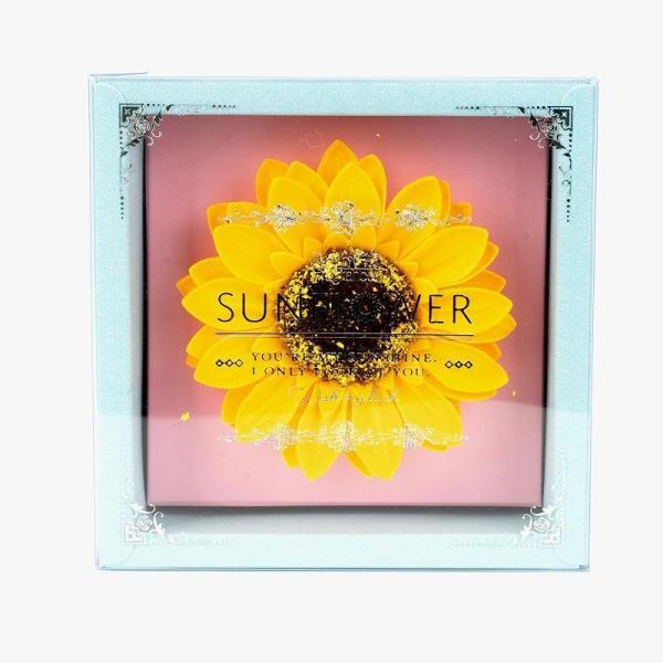 Ђ܂Pփ{bNXy oXtOX  \[vt[ Mtg o^C   zCgf[̂Ԃ Əj wjz