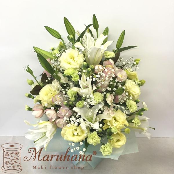 AWgLLyzԃAWg E݂ɑ t[