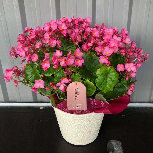 xSjA 5 u~[yzHMtg/~Mtg/Ε/Ԕ//JƏj/JXj/ړ]j/a/v[g/eMtg