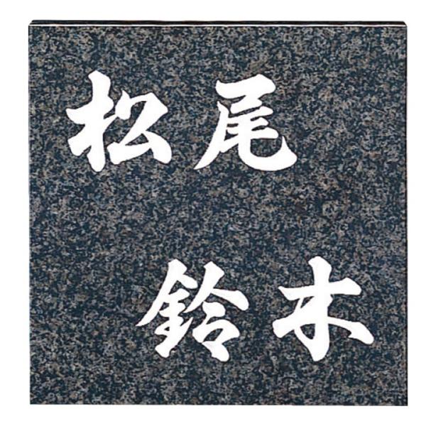 X^CvX񐢑яZpO[~JQij FS26-201