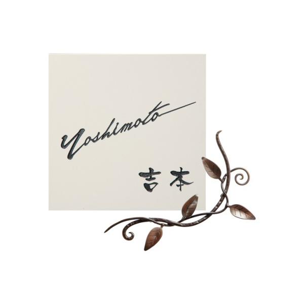 NX[t IuWF j[uX ACA uYbLd IRA-173 