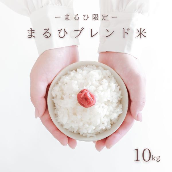 maruhi0085_maruhi-20