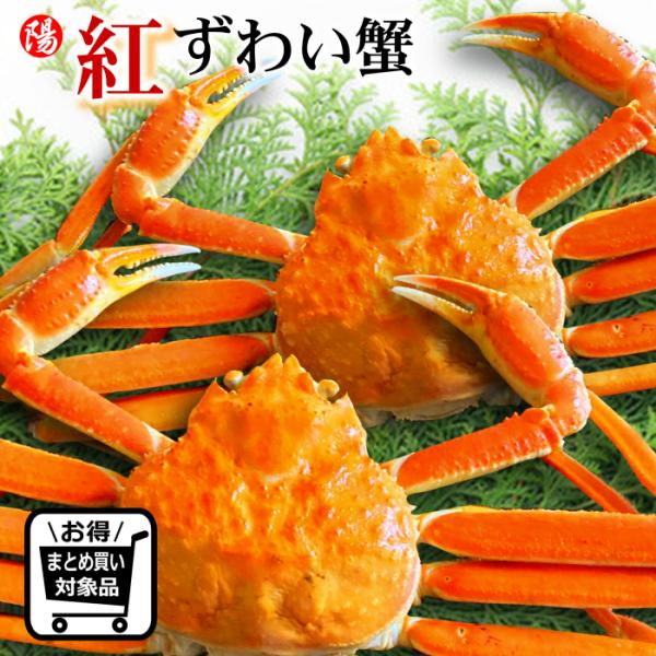 ◆名称:紅ズワイガニ姿◆産地名:北海道産◆内容量：800g前後×2尾◆原材料:紅ずわいがに、食塩 ◆保存方法：要冷凍(-18℃以下)◆養殖/解凍別: 冷凍でお届け◆賞味期限：出荷日より2ヶ月   ※ご家庭の冷凍庫の場合は、開閉が多いため購入...
