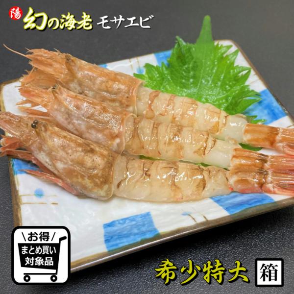 モサエビ ガスエビ 刺身 日本海産 特大 1箱 700g前後 えび エビ 海老 海鮮 お祝 贈答品 プレゼント BBQ お中元