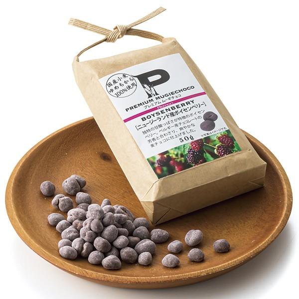 バレンタイン チョコ 2020 レーマン プレミアムムーギチョコニュージーランド産ボイセンベリー 丸広オンラインショップ Paypayモール店 通販 Paypayモール