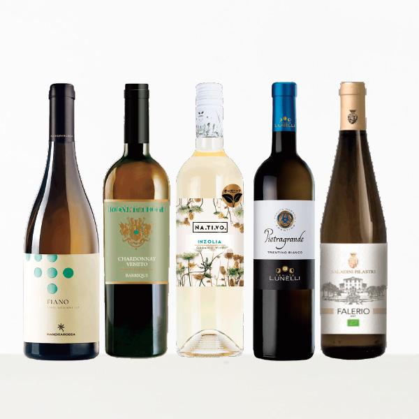 イタリア夏に飲みたいさわやか白ワイン5本セット : 丸広オンライン