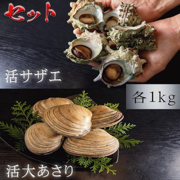 天然 貝セット 大あさり サザエ 2kg 各1kg 秘伝のタレ付き 愛知県三河産 BBQ 壺焼き ＼選べる配送方法 冷蔵 or 冷凍／