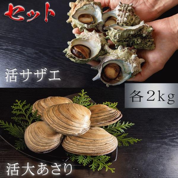 天然 貝セット 大あさり サザエ 4kg 各2kg 秘伝のタレ付き 愛知県三河産 BBQ 壺焼き ＼選べる配送方法 冷蔵 or 冷凍／