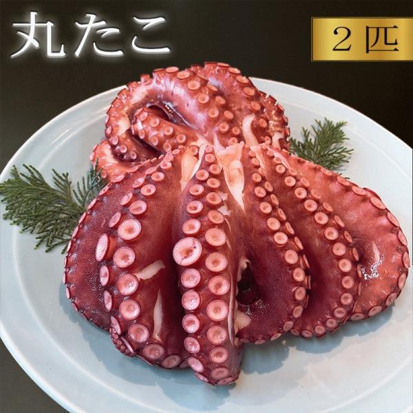 国産 頭付たこ 600〜800g×2匹 浜ゆでを冷凍 茹でだこ 愛知県豊浜産