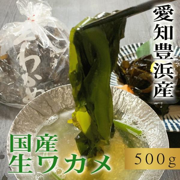 新物 生ワカメ わかめ 500g  国産 愛知県 豊浜産 クール冷蔵便