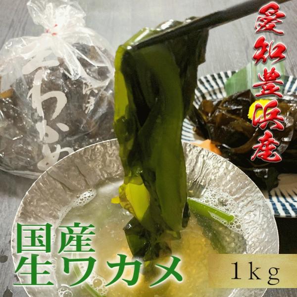 新物 生ワカメ わかめ 1kg 送料無料 国産 愛知県 豊浜産 クール冷蔵便