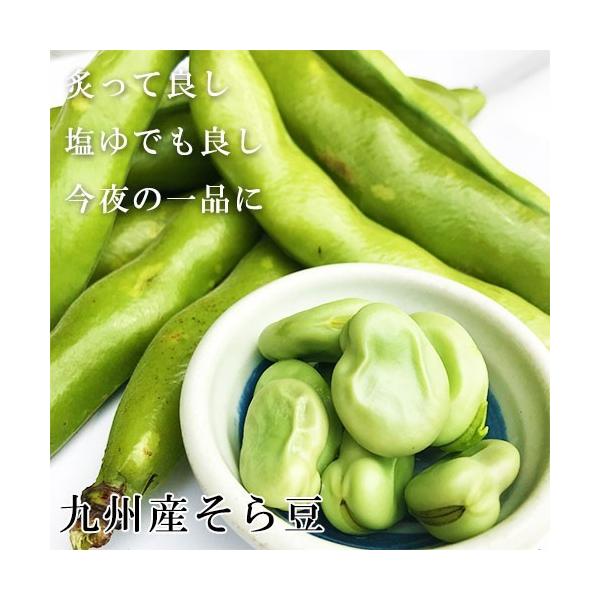 そら豆 そらまめ ソラマメ 九州産 箱込 約2kg前後 : 厳選フルーツ