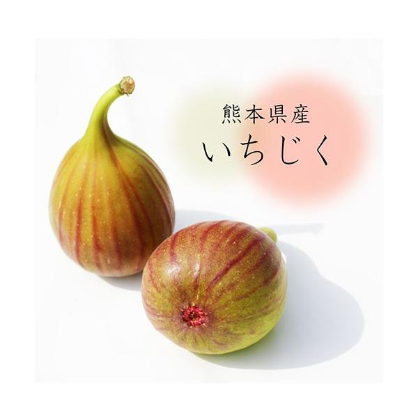 いちじく 無花果 イチジク 九州産 8パック : 厳選フルーツ マルイチ