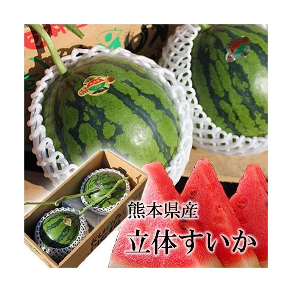 パンダさんスイカポンチ☆トロピカル Baguette #drawing #drawingfood #illustration #fooddrawing