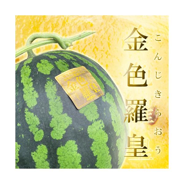 金色羅皇 こんじきらおう 1玉入り 大玉 すいか 入荷次第発送