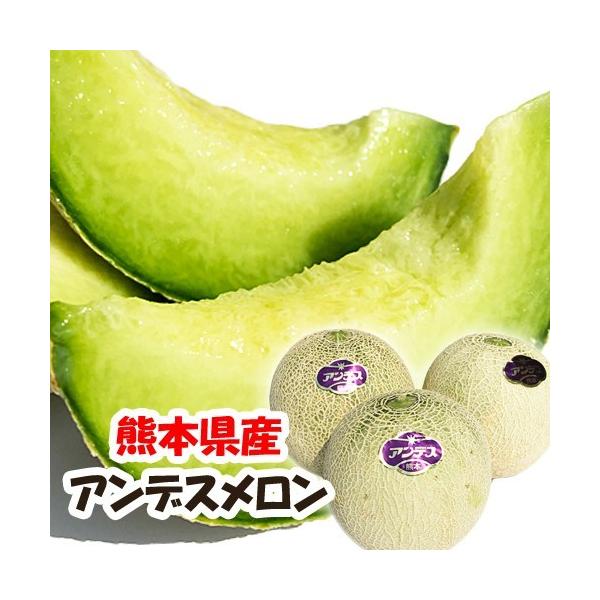 Panpanpanda　熊本県産　アンデスメロン【青肉】 2L×2箱セット アンデス 約1．8キロ 熊本産 秀品 青肉メロン 2〜3玉入り : 厳選