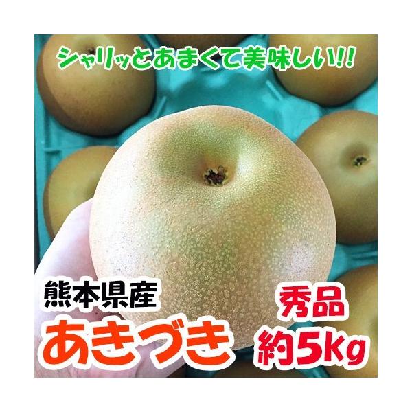 あきづき　箱込５キロ前後　熊本産