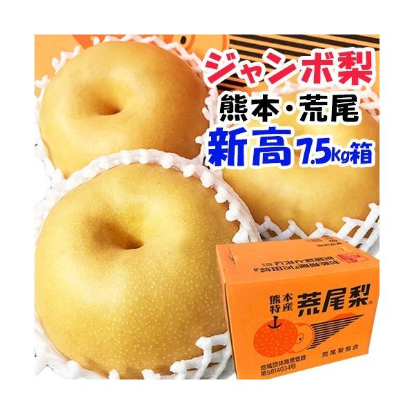 新高　約７．５キロ　ジャンボ梨　熊本　荒尾　6〜12玉入り