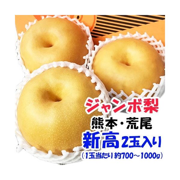 新高 お試し 2玉入り ジャンボ梨 1玉当たり700g〜1000g : 厳選
