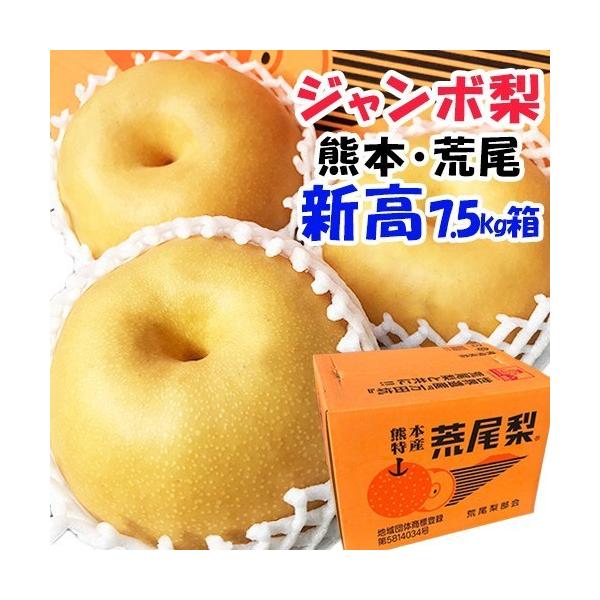 maruichi-kudamono_50016