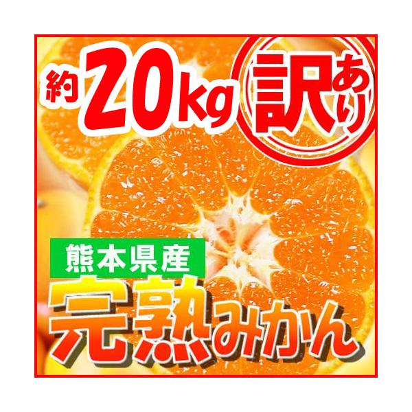 ３時間限定超破格！❤みかん＊超レア❤超厚手＊極やわ⭐Wボア☆シングルお布団⭐ JAにしうわみつる 蜜るみかん 3.5kg箱｜ヤオコー予約＆ギフト