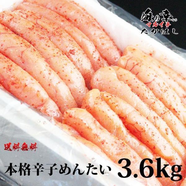 [石巻加工] 本格辛子めんたいこ3.6kg［訳ありじゃない1本物を使用］宮城/辛子明太子/たらこ/お中元