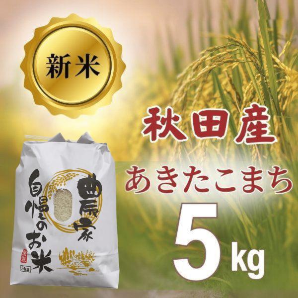 お米 新米 令和6年 あきたこまち 秋田県産 5kg 白米 秋田のお土産  
