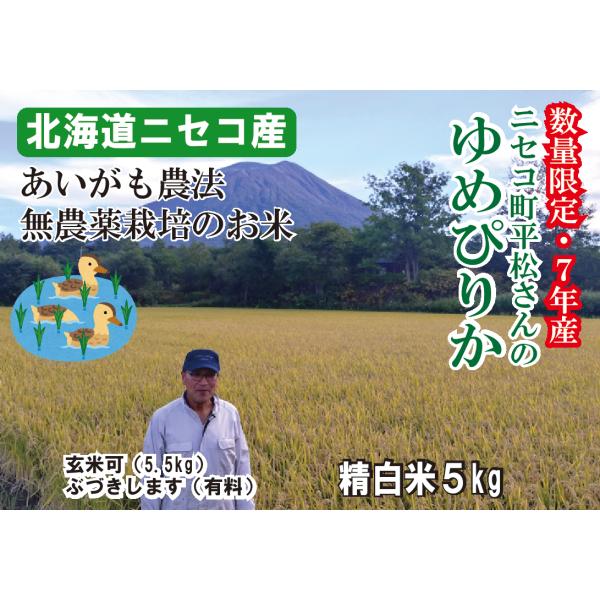 あいがも農法　7分付き20kg オーガニック 【7年産】あいがも農法 無農薬 5キロ 送料無料 北海道米