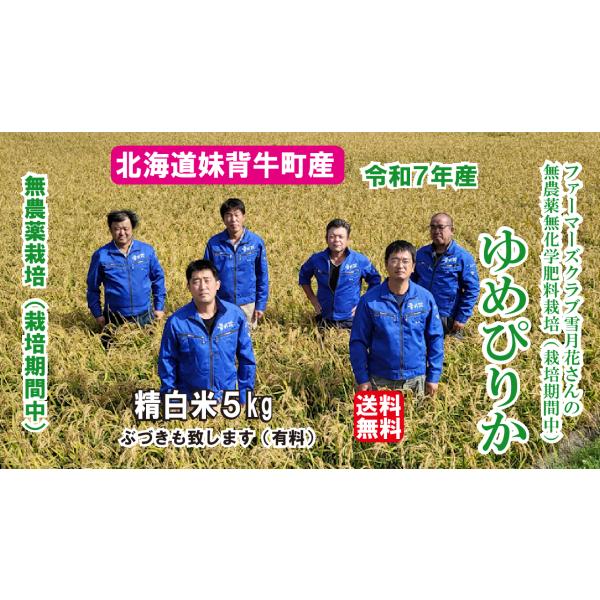無農薬【7年産】無農薬栽培 栽培期間中無農薬 5キロ 送料無料 北海道米 妹背牛産 ゆめぴりか 雪月花さん 玄米可(5.5kg)