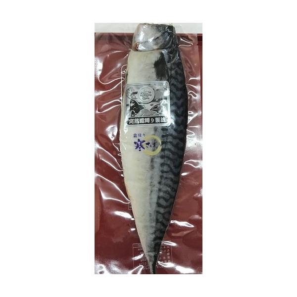 maruike-store_4580109012303