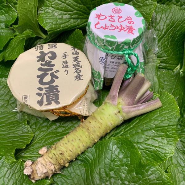 産地直送！伊豆・天城の本わさび・わさび漬け】わさびセット 3600円