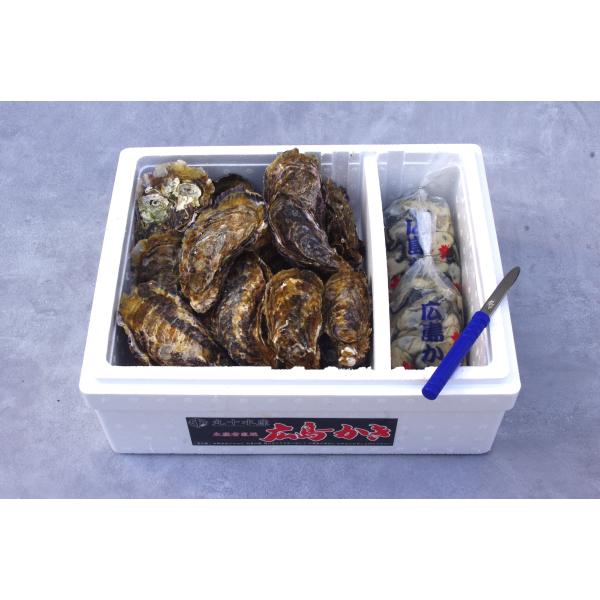 [Release date: November 28, 2025]※生牡蠣の用途の【生食用】、【加熱調理用】のについてはお知らせの欄をご確認ください。※殻付き牡蠣は重量で箱詰めいたしますので、個数はおおよその数を表示しております。1キロ当た...