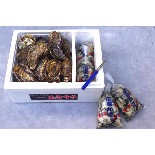 [Release date: November 28, 2025]※生牡蠣の用途の【生食用】、【加熱調理用】のについてはお知らせの欄をご確認ください。※殻付き牡蠣は重量で箱詰めいたしますので、個数はおおよその数を表示しております。1キロ当た...