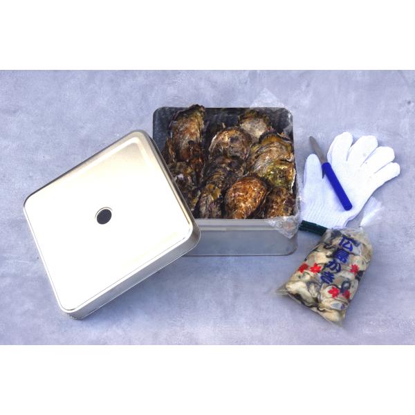 [Release date: November 28, 2025]※生牡蠣の用途の【生食用】、【加熱調理用】のについてはお知らせの欄をご確認ください。※殻付き牡蠣は重量で箱詰めいたしますので、個数はおおよその数を表示しております。1キロ当た...