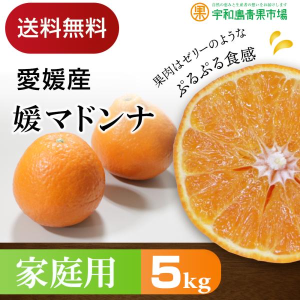 Q}hi 5kg ƒp  Q FaY ꕔn