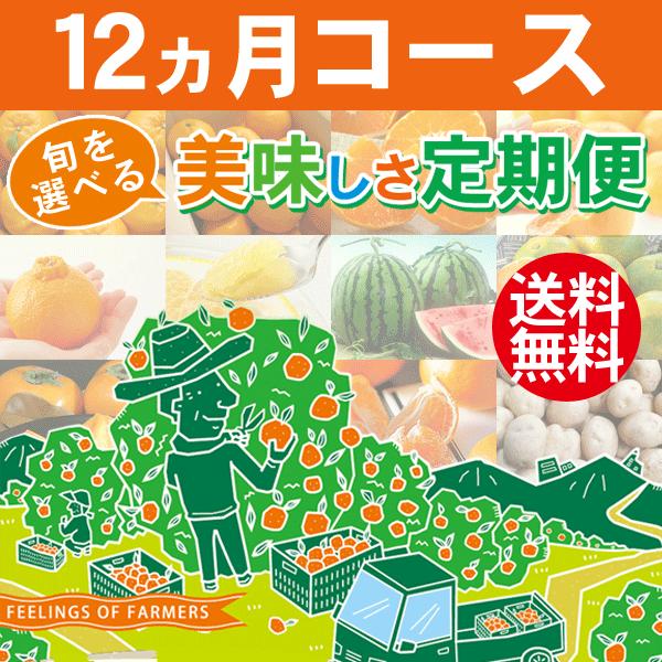 {Iׂ 12R[X QEFaY ݂񊹋k ꕔn