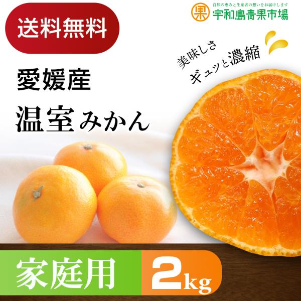 贅沢品 愛媛産 温室ハウスみかん 超高糖度 赤秀 贈答 1kg 光糖度