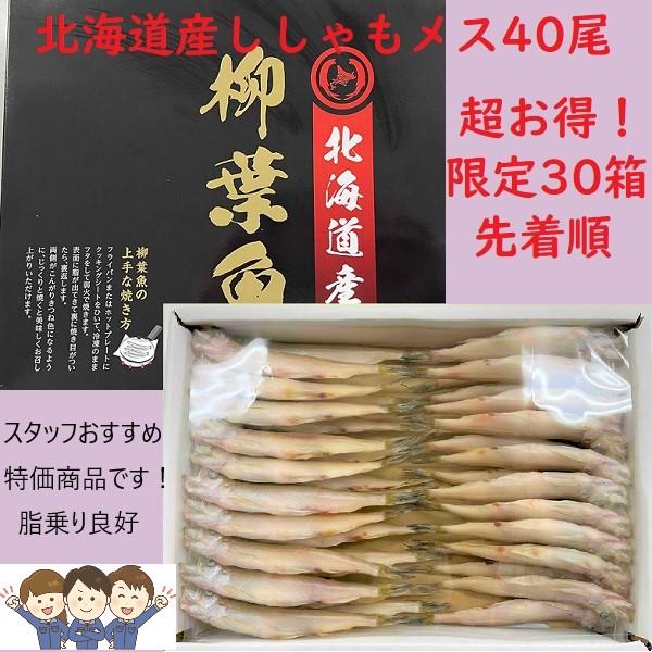 お買い得商品！３０箱限定価格のため、お早めにどうぞ！４０尾入りです。北海道産本ししゃも（メス）を一尾一尾丁寧に天日干しにして、ししゃも本来の旨みを味わっていただける一品です。本商品は卵を持ったメスだけを選別しています。卵が少な目な分、身の美...
