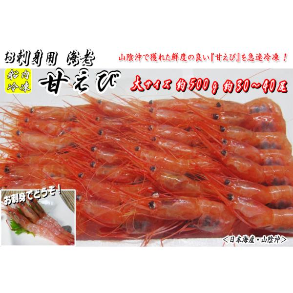 甘えび（船内冷凍)約500g　大サイズ　約30〜40尾＜日本海産・山陰沖＞[冷凍便]　※水道水（流水）で解凍して お刺身でお召し上がり下さい。※塩焼き、天ぷら、フライ等などでも美味しく頂けます。