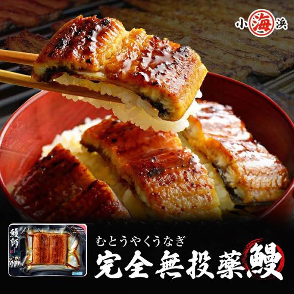 ※完全無投薬(100％鹿児島県産)で安心安全です。お試しサイズの65gです！！送料無料の冷凍便と同梱で送料無料になります。商品内容:国産 うなぎ蒲焼 約65g賞味期限:ご家庭の冷凍庫で1ヶ月程度が目安です(要冷凍 -18℃以下)調理方法:加...