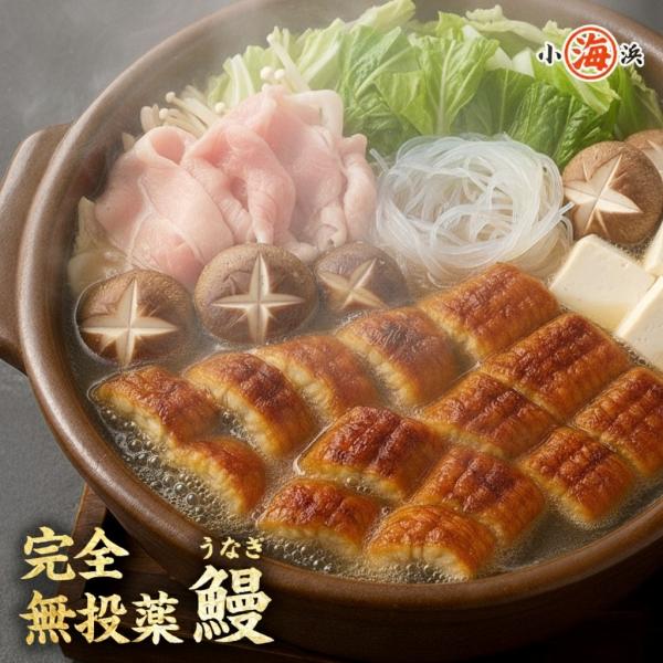 ※完全無投薬(100％鹿児島県産)で安心安全です。化粧箱 包装 熨斗 メッセージカード 紙袋がすべて無料紙袋が必要な場合は要望欄に記載下さい。その他のご要望についてご連絡お願いいたします。商品内容:国産 うなぎ蒲焼き 約140g×3尾 (タ...