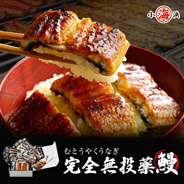 ※完全無投薬(100％鹿児島県産)で安心安全です。化粧箱 包装 熨斗 メッセージカード 紙袋がすべて無料紙袋が必要な場合は要望欄に記載下さい。その他のご要望についてご連絡お願いいたします。商品内容:国産 うなぎ蒲焼き 約65g×16パック賞...