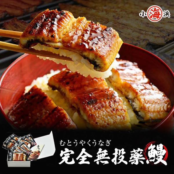 うなぎ蒲焼き 国産 約65g×5パック 完全無投薬 鹿児島県産 ギフト対応 メッセージカード無料 うなぎ 贈り物 爆買 お中元 中元 土用 丑の日