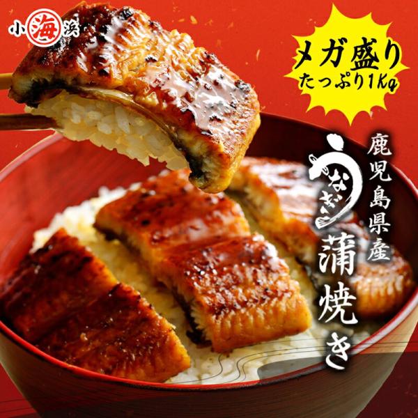 ※完全無投薬(100％鹿児島県産)で安心安全です。ギフト各種対応可 ※紙袋が必要な場合は要望欄に記載下さい。商品内容:国産 鹿児島県産 無投薬 うなぎ蒲焼き140g〜200g ・きざみうなぎ300g いずれかランダムで1kg(タレ+山椒付き...