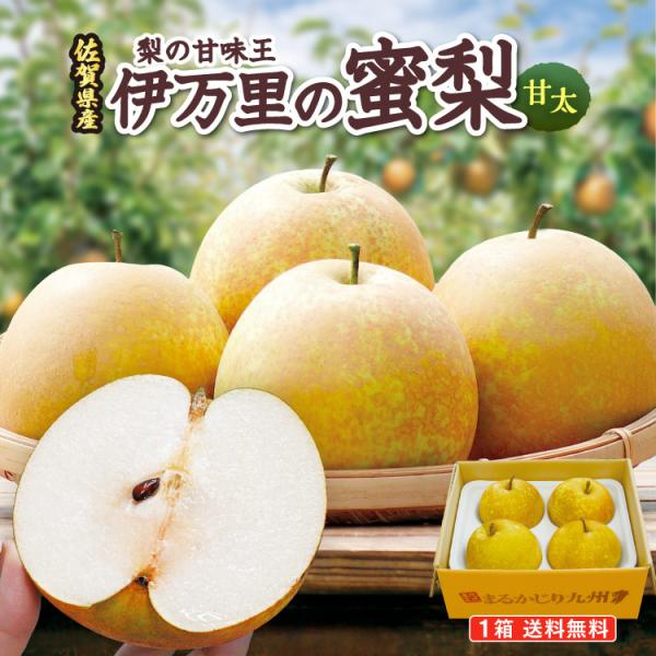 marukajiri-kyushu_01225-1