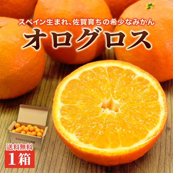 オログロス （クレメンティン 早生） 佐賀 1箱 約2kg みかん ミカン