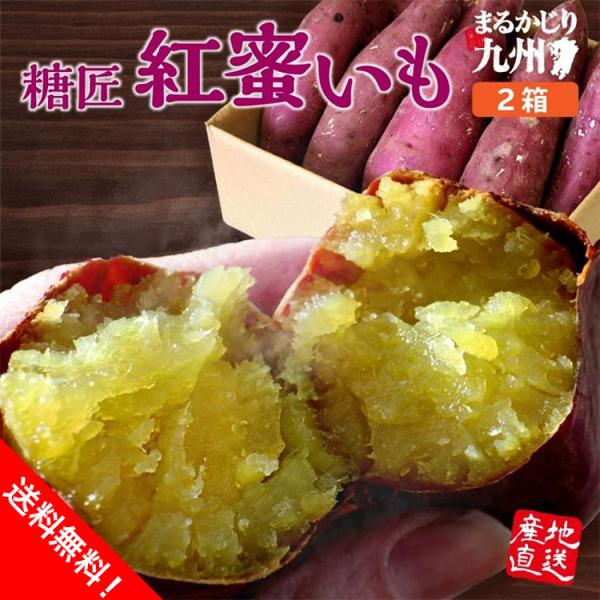 [Release date: October 23, 2025]＼焼き芋の王様「紅はるか」／紅はるかの特徴は、その高い糖度にあります。焼き芋にすると平均糖度 約45℃前後干し芋にすると平均糖度 約50〜70℃前後！砂糖不使用でも自然の甘さで...