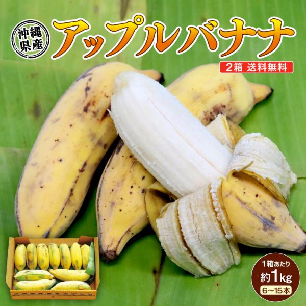 marukajiri-kyushu_21298