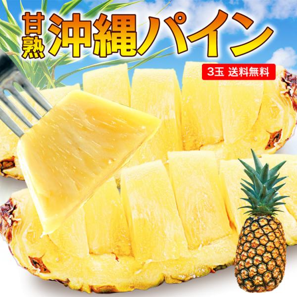 パイン 沖縄 送料無料 3玉セット 1玉あたり約800g〜1kg パイナップル